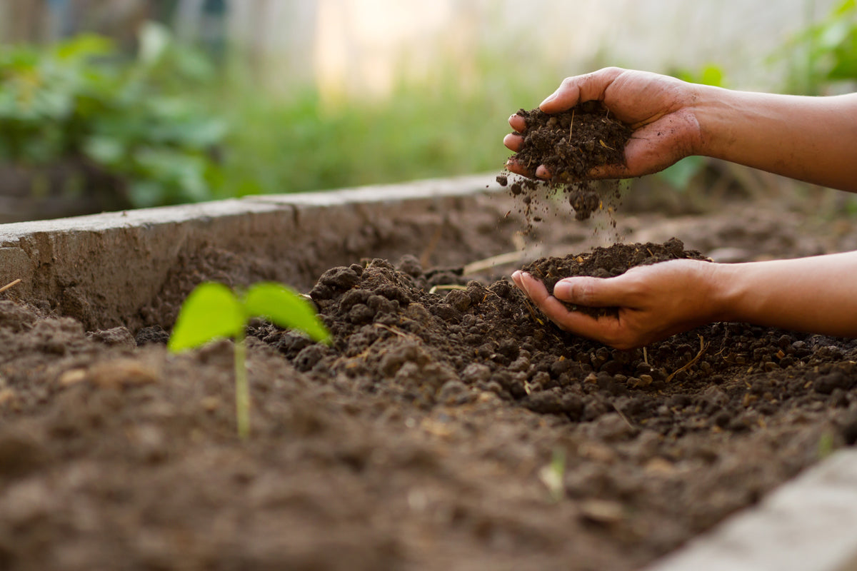 Why is Soil Health So Important?