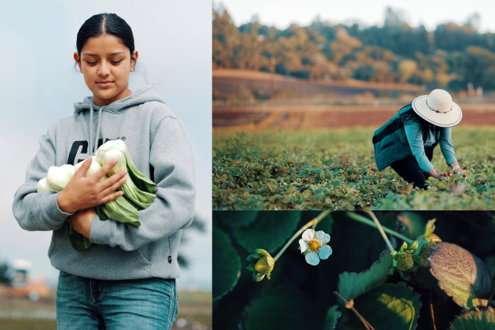 A collage of a woman holding bok choy, a farmer picking strawberries, and a strawberry plant.