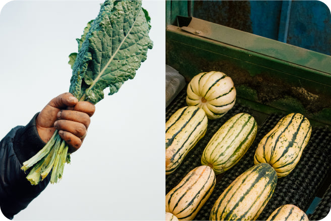 A collage of a hand holding a fistful of kale and delicata squash on a conveyor belt.