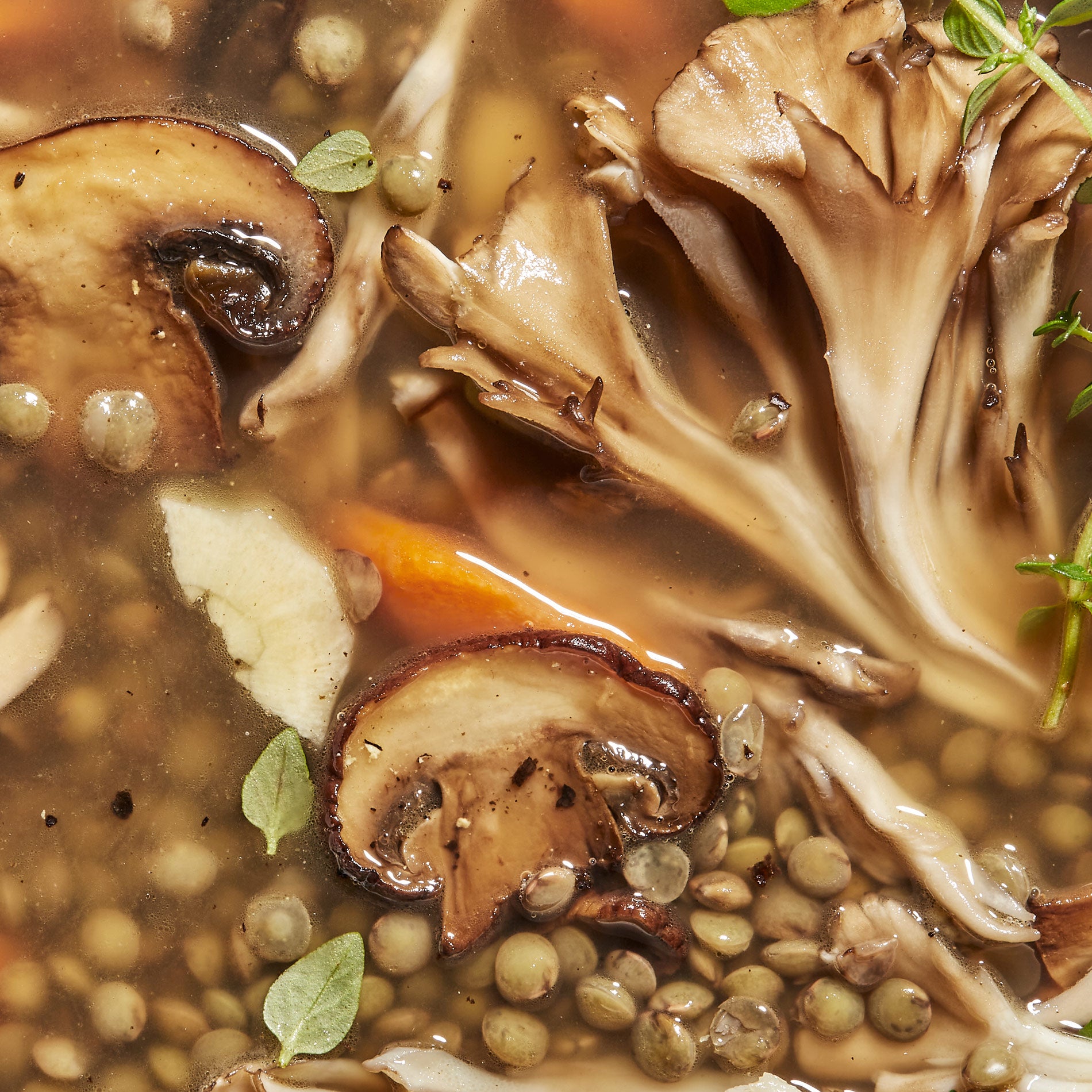 A close-up of Daily Harvest's Lentil + Cremini Soup prepared.
