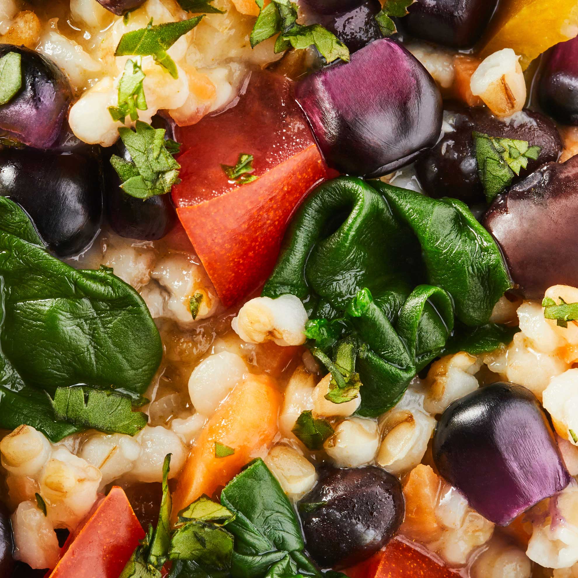 Close up image of a prepared Daily Harvest Black Bean + Tomatillo Oat Bowl.